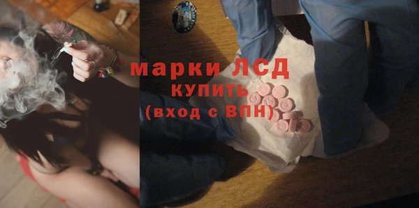 соль ск Тайга