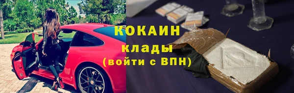 соль ск Тавда