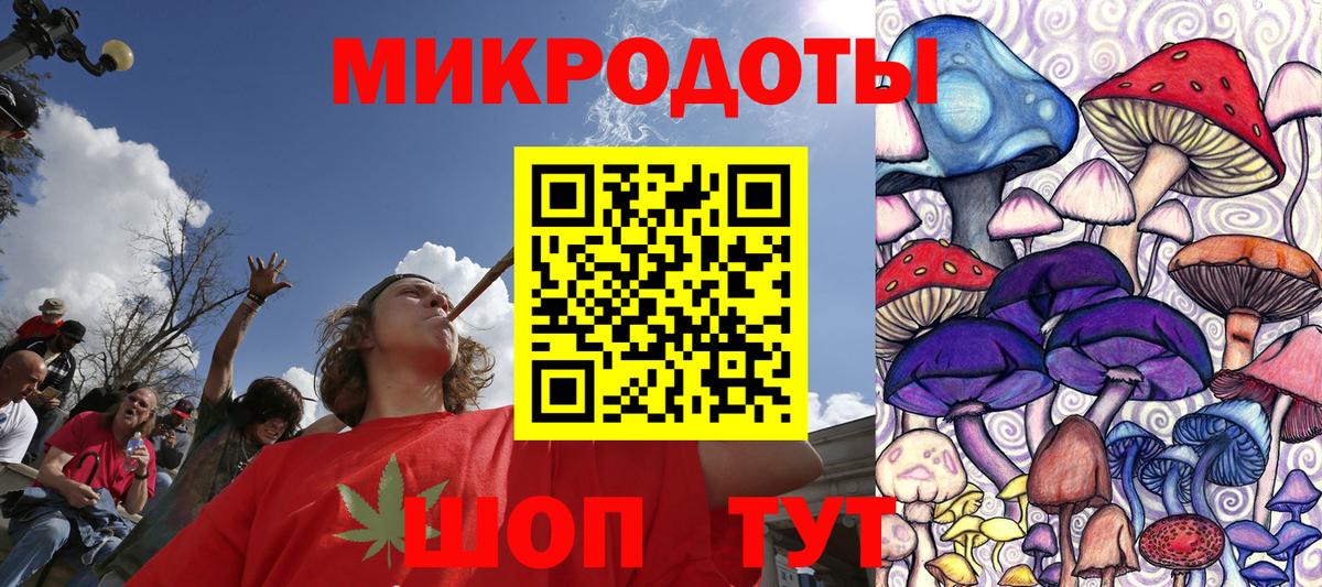 APVP Бутурлиновка