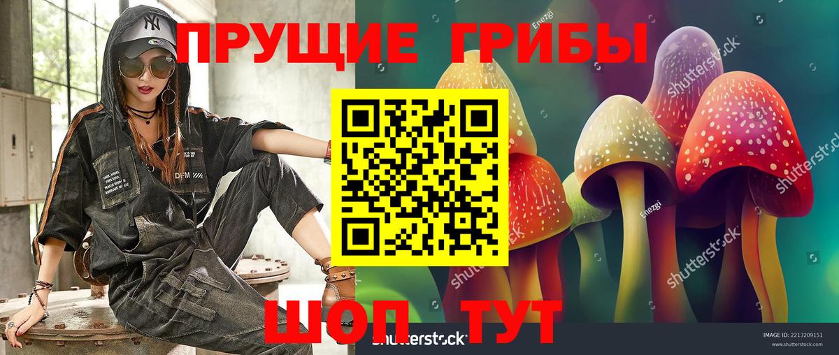 Псилоцибиновые грибы мицелий Бутурлиновка