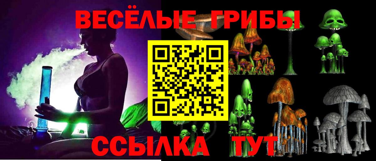 Бутурлиновка  Псилоцибиновые грибы Psilocybe  Вход с VPN  Псилоцибиновые грибы Psilocybe 