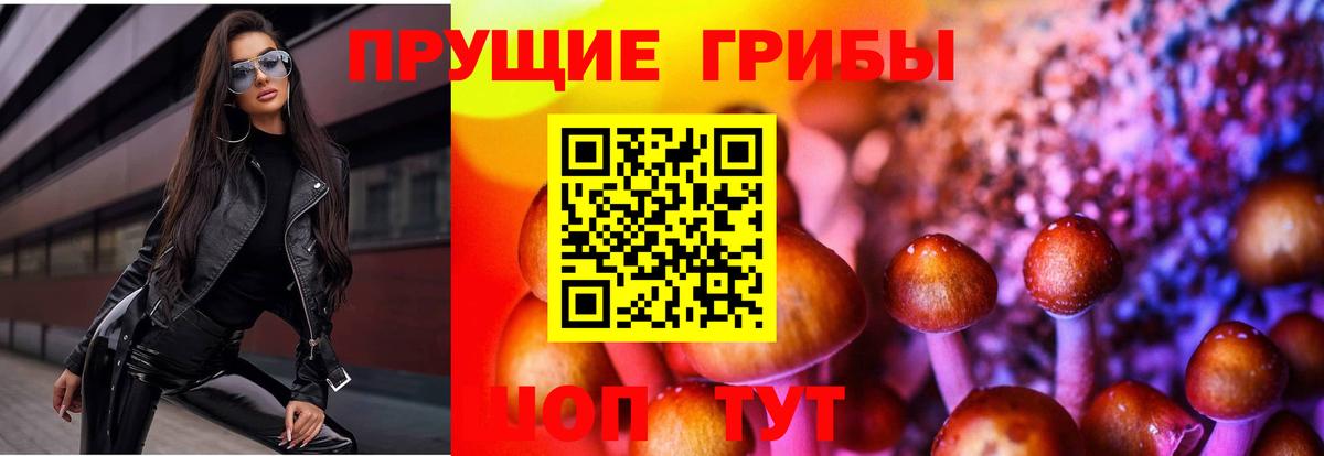 Ляпка  Бутурлиновка  Канабис  Кокаин  А ПВП  Экстази  Мяу-Мяу  Вход с VPN 